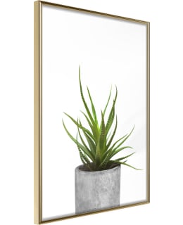 ARTGEIST A1-POSTERPRP0577L_ZR JULISTE Main Image