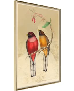 ARTGEIST A1-POSTERPRP0590S_ZR JULISTE Main Image