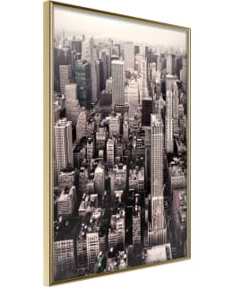 ARTGEIST A1-POSTERPRP0633L_ZR JULISTE Main Image