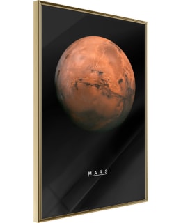 ARTGEIST A1-POSTERPRP0650M_ZR JULISTE Main Image