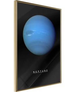 ARTGEIST A1-POSTERPRP0654M_ZR JULISTE Main Image