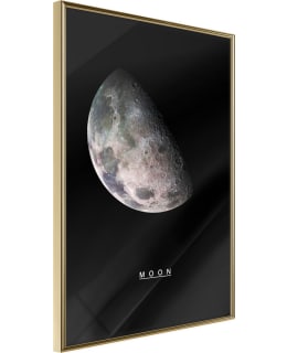 ARTGEIST A1-POSTERPRP0656L_ZR JULISTE Main Image