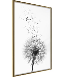 ARTGEIST A1-POSTERPRP0665L_ZR JULISTE Main Image