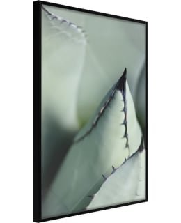 ARTGEIST A1-POSTERPRP0679S_CR JULISTE Main Image