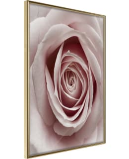 ARTGEIST A1-POSTERPRP0681M_ZR JULISTE Main Image