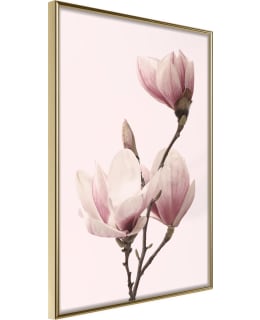 ARTGEIST A1-POSTERPRP0684M_ZR JULISTE Main Image