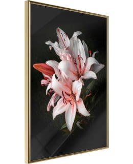 ARTGEIST A1-POSTERPRP0703L_ZR JULISTE Main Image