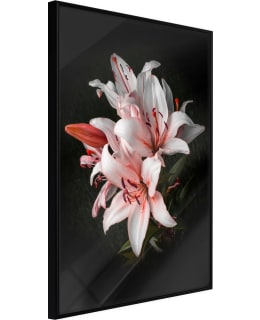 ARTGEIST A1-POSTERPRP0703S_CR JULISTE Main Image