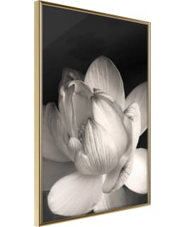 ARTGEIST A1-POSTERPRP0755S_ZR JULISTE Main Image