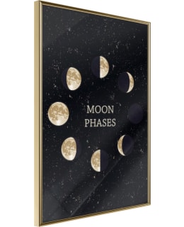 ARTGEIST A1-POSTERPRP0781L_ZR JULISTE Main Image