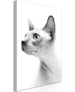 ARTGEIST A1-N8345 TAULU Main Image