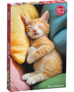 CHERRYPAZZI I'M IN CHARGE HERE 500P Main Image