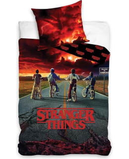 Stranger Things pussilakanasetti Main Image