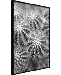 ARTGEIST A1-POSTERPRP0797S_CR JULISTE Main Image