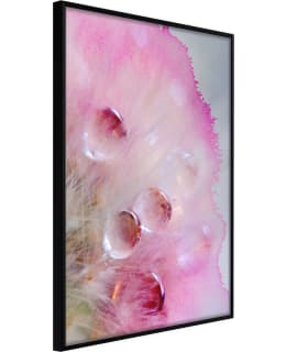 ARTGEIST A1-POSTERPRP0896M_CR JULISTE Main Image