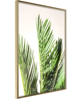 ARTGEIST A1-POSTERPRP1010S_ZR JULISTE Main Image