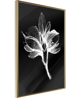 ARTGEIST A1-POSTERPRP1048S_ZR JULISTE Main Image