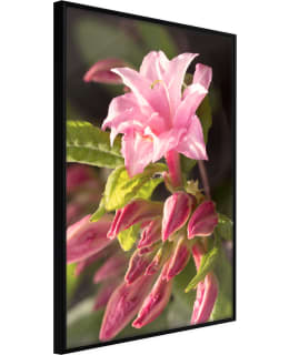 ARTGEIST A1-POSTERPRP1056L_CR JULISTE Main Image