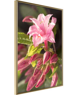 ARTGEIST A1-POSTERPRP1056S_ZR JULISTE Main Image