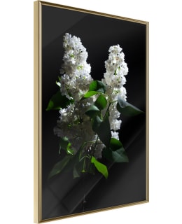 ARTGEIST A1-POSTERPRP1070L_ZR JULISTE Main Image