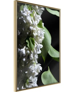 ARTGEIST A1-POSTERPRP1071M_ZR JULISTE Main Image