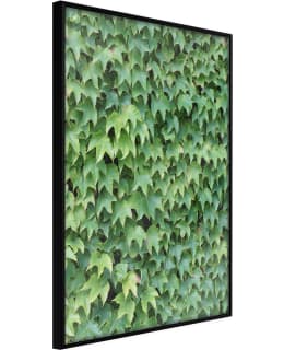 ARTGEIST A1-POSTERPRP1075S_CR JULISTE Main Image