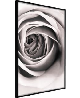 ARTGEIST A1-POSTERPRP1089M_CR JULISTE Main Image