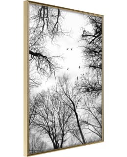 ARTGEIST A1-POSTERPRP1153L_ZR JULISTE Main Image