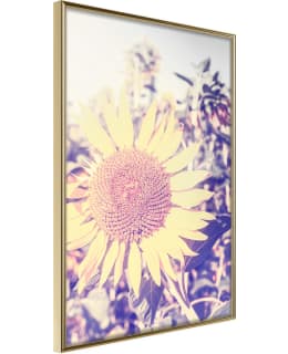 ARTGEIST A1-POSTERPRP1155M_ZR JULISTE Main Image