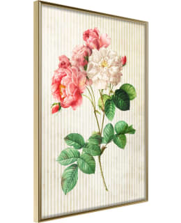 ARTGEIST A1-POSTERPRP1167M_ZR JULISTE Main Image