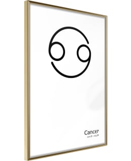 ARTGEIST A1-POSTERPRP1172M_ZR JULISTE Main Image