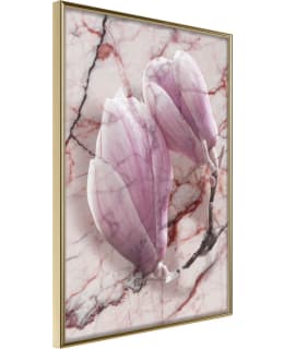 ARTGEIST A1-POSTERPRP1194L_ZR JULISTE Main Image