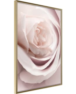 ARTGEIST A1-POSTERPRP1233S_ZR JULISTE Main Image