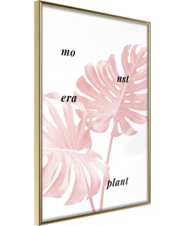 Artgeist A1-POSTERPRP1279M_ZR JULISTE Main Image