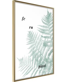 ARTGEIST A1-POSTERPRP1281M_ZR JULISTE Main Image