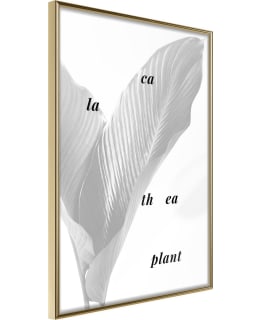 ARTGEIST A1-POSTERPRP1282S_ZR JULISTE Main Image