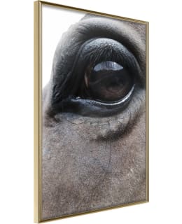 ARTGEIST A1-POSTERPRP1323M_ZR JULISTE Main Image