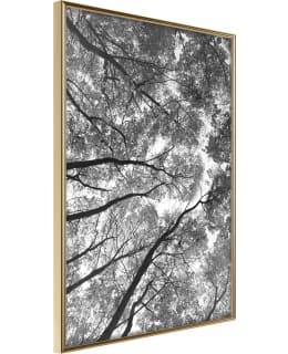 ARTGEIST A1-POSTERPRP1325L_ZR JULISTE Main Image
