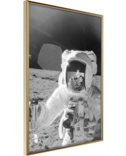 ARTGEIST A1-POSTERPRP1353L_ZR JULISTE Main Image