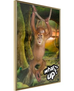 ARTGEIST A1-POSTERPRP1373M_ZR JULISTE Main Image