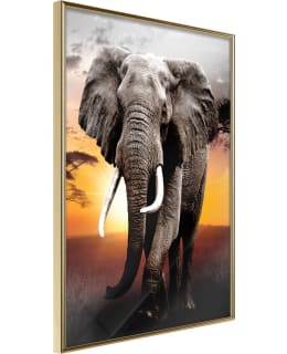 ARTGEIST A1-POSTERPRP1404L_ZR JULISTE Main Image