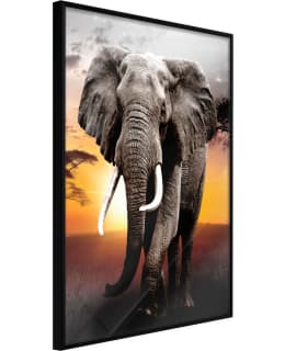 ARTGEIST A1-POSTERPRP1404M_CR JULISTE Main Image