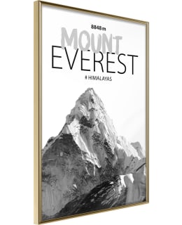 ARTGEIST A1-POSTERPRP1409S_ZR JULISTE Main Image