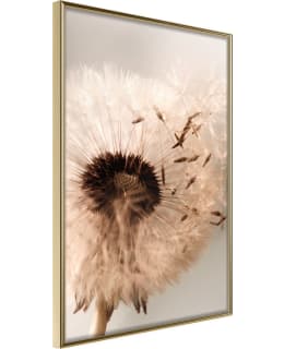 ARTGEIST A1-POSTERPRP1416M_ZR JULISTE Main Image