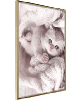 ARTGEIST A1-POSTERPRP1528L_ZR JULISTE Main Image