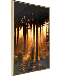 ARTGEIST A1-POSTERPRP1562L_ZR JULISTE Main Image