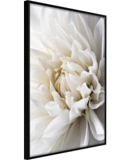 ARTGEIST A1-POSTERPRP1667L_CR JULISTE Main Image