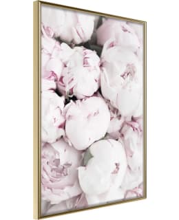 ARTGEIST A1-POSTERPRP1675L_ZR JULISTE Main Image