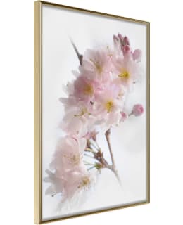 ARTGEIST A1-POSTERPRP1691M_ZR JULISTE Main Image