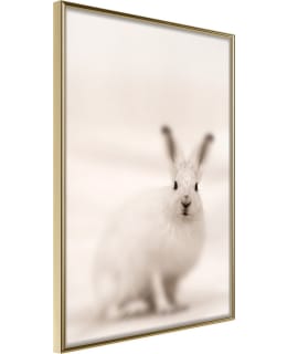 ARTGEIST A1-POSTERPRP1715M_ZR JULISTE Main Image